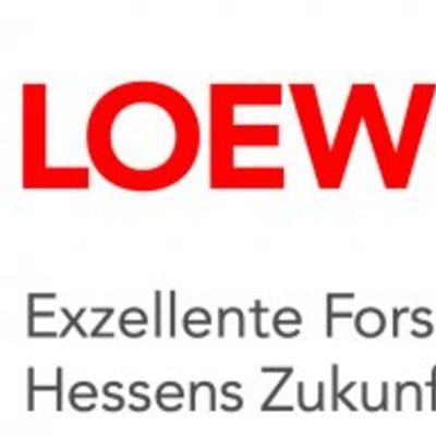 Forschungsfrderprogramm LOEWE - Logo